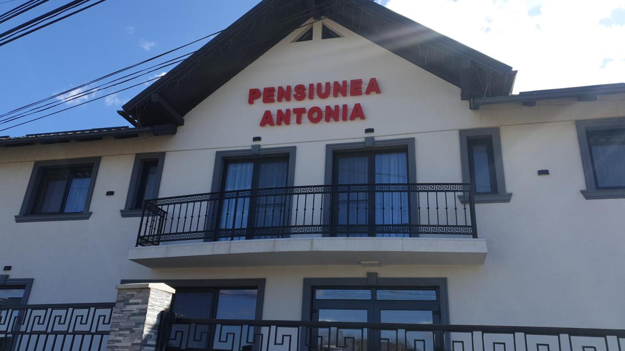 Pensiunea Antonia Сигету-Мармацией Экстерьер фото